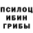 Псилоцибиновые грибы Magic Shrooms Surf Box