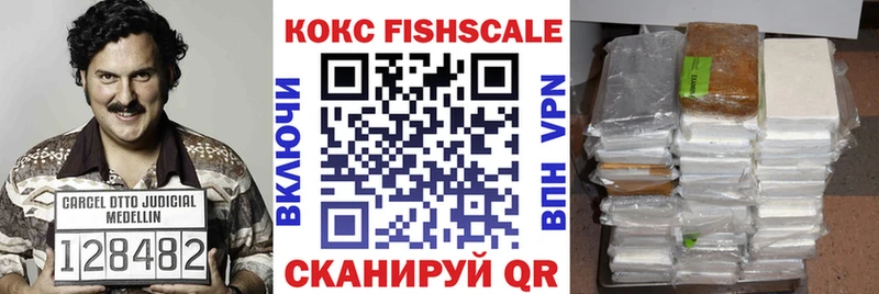 цены наркотик  Спасск  COCAIN Fish Scale 